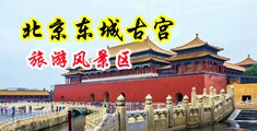 国产皇家天美麻逼干逼操逼中国北京-东城古宫旅游风景区